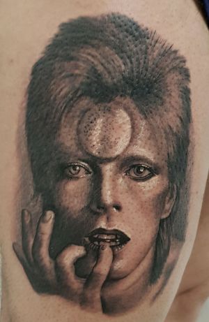 bowie